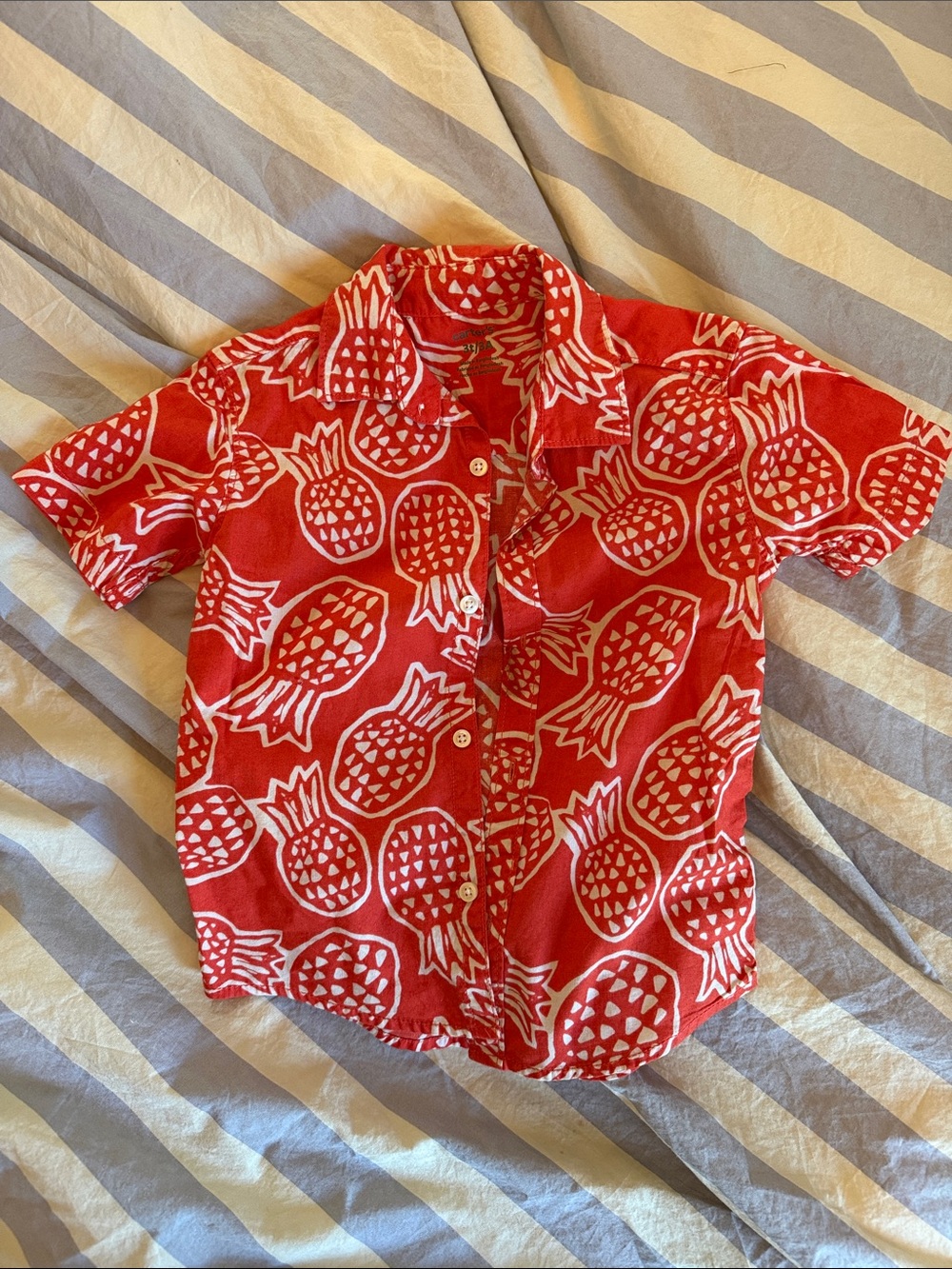 Carter's Red Pineapple Button-Down Shirt